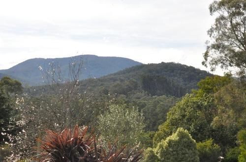 Healesville Maroondah View Motel מראה חיצוני תמונה